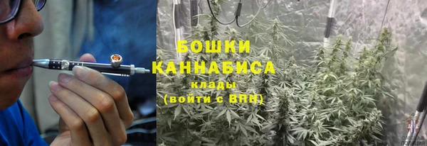 амф Шали