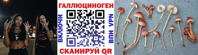 Псилоцибиновые грибы ЛСД  дарнет шоп  Городище 